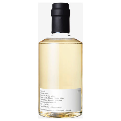 Empirical Ayuuk Empirical Ayuuk