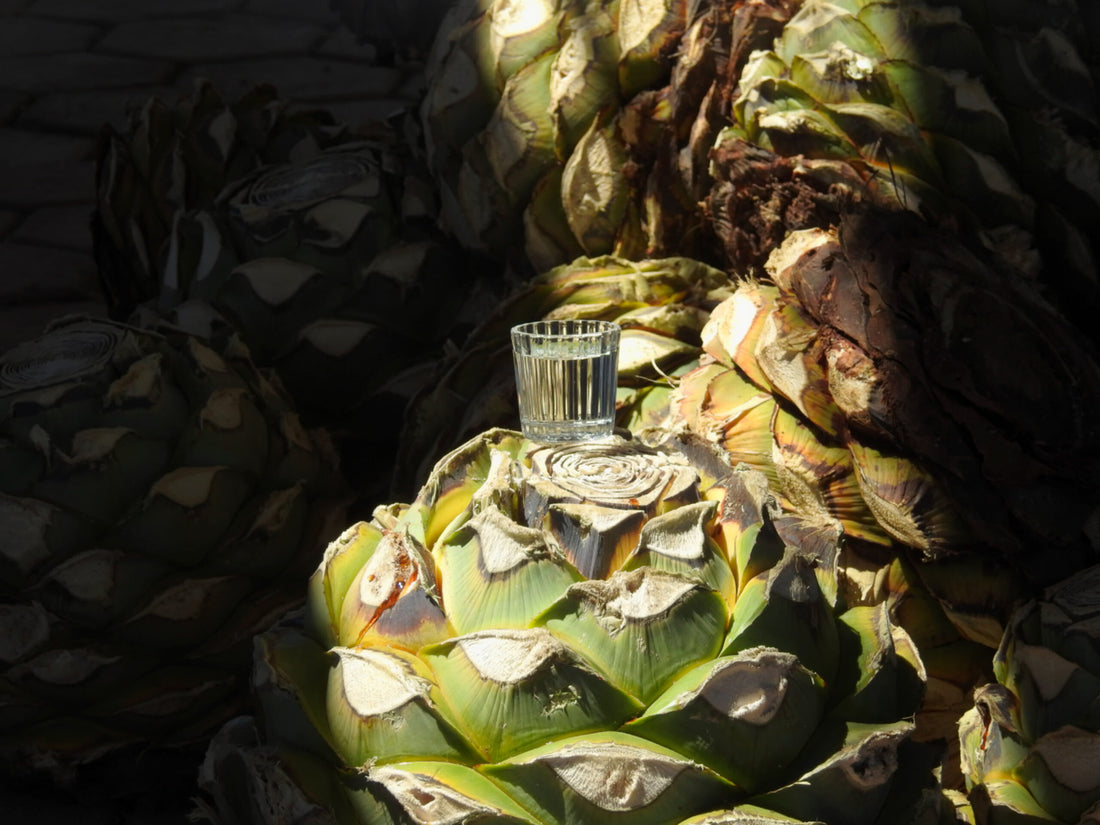 The History of Tequila: From Aztec Origins to Modern Day